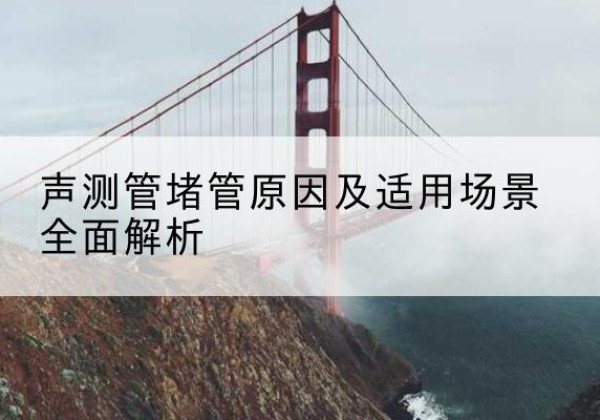 让胡路声测管堵管的主要原因有哪些？-声测管堵管原因及适用场景全面解析